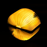Gingko Mini Smart Book Light - Maple