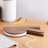 R Lamp laid down on a desk with USB charger cable