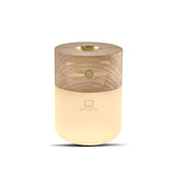 Gingko Smart Diffuser Lamp - White Ash