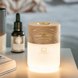 Gingko Smart Diffuser Lamp - White Ash