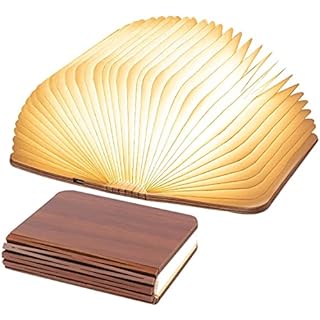 Gingko Design Gingko Design