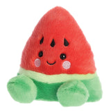 Palm Pals Sandy Watermelon Soft Toy