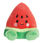 Palm Pals Sandy Watermelon Soft Toy