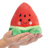 Palm Pals Sandy Watermelon Soft Toy in the hand