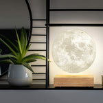 Ginkgo Floating Smart Moon Lamp - White Ash