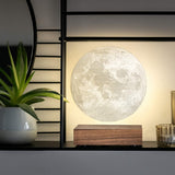 Walnut Gingko Moon Lamp floating in mid air